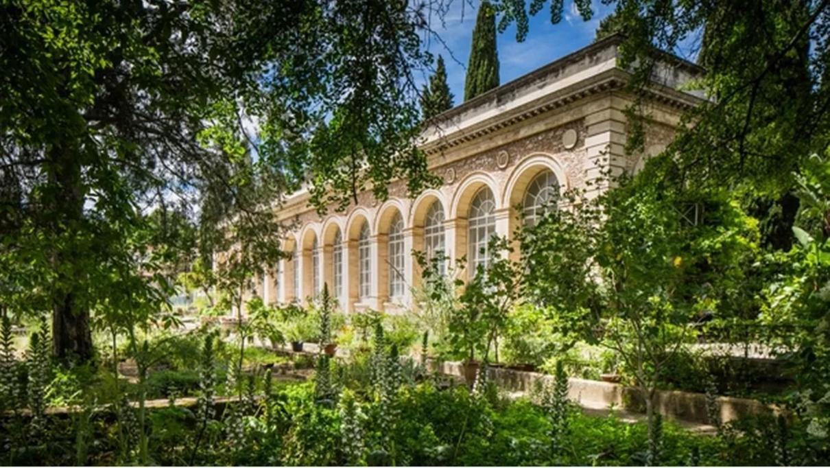 Place De La Comedie - Magnifique T2 Au Calme Montpellier Zewnętrze zdjęcie